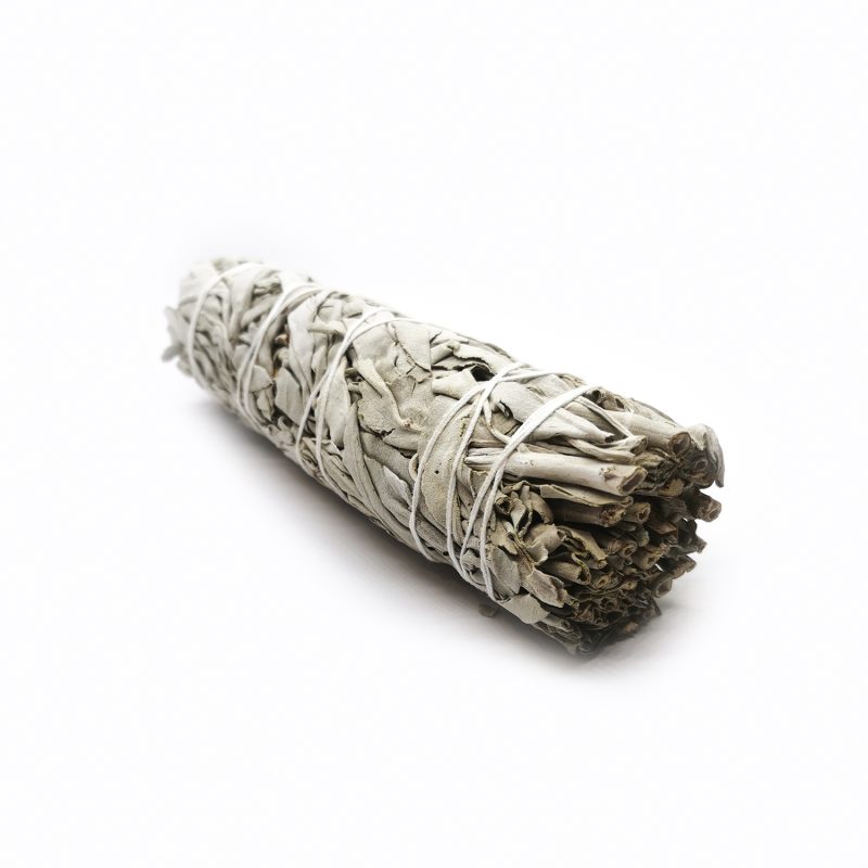 Salvia Branca 15cm
