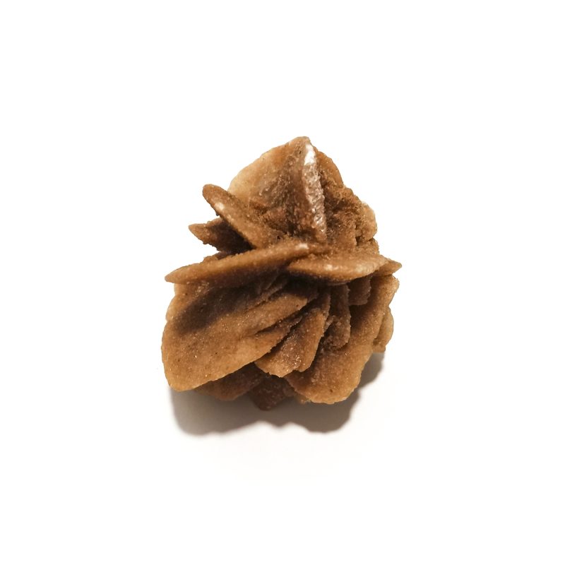 Rosa do Deserto