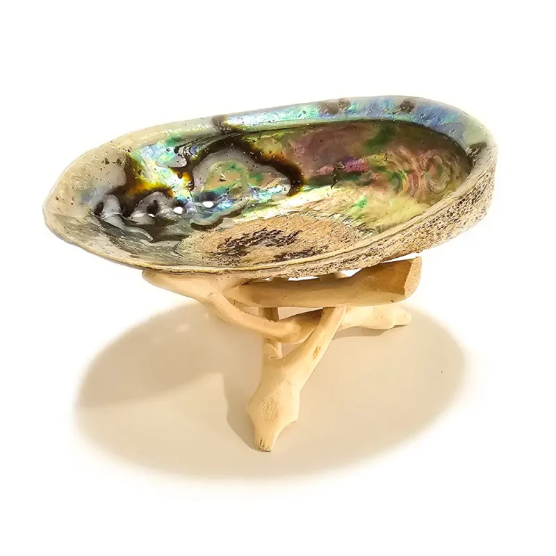 Abalone com Suporte Cobra